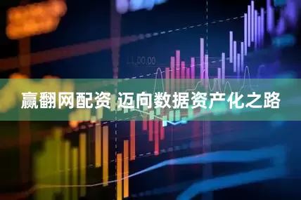赢翻网配资 迈向数据资产化之路