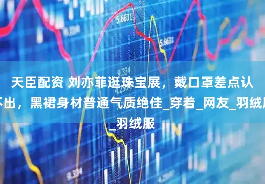 天臣配资 刘亦菲逛珠宝展，戴口罩差点认不出，黑裙身材普通气质绝佳_穿着_网友_羽绒服