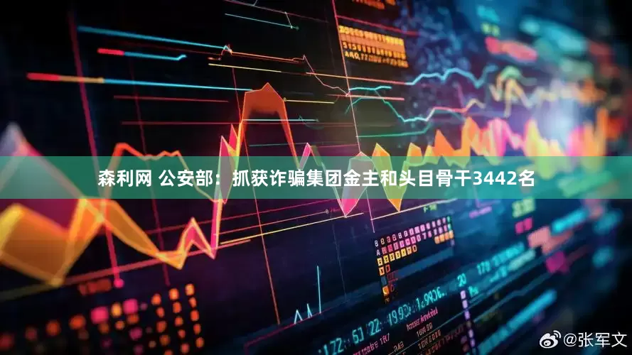 森利网 公安部：抓获诈骗集团金主和头目骨干3442名