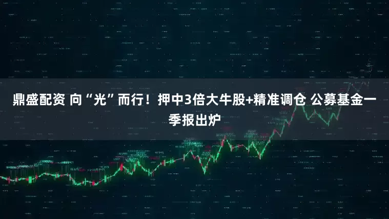 鼎盛配资 向“光”而行！押中3倍大牛股+精准调仓 公募基金一季报出炉