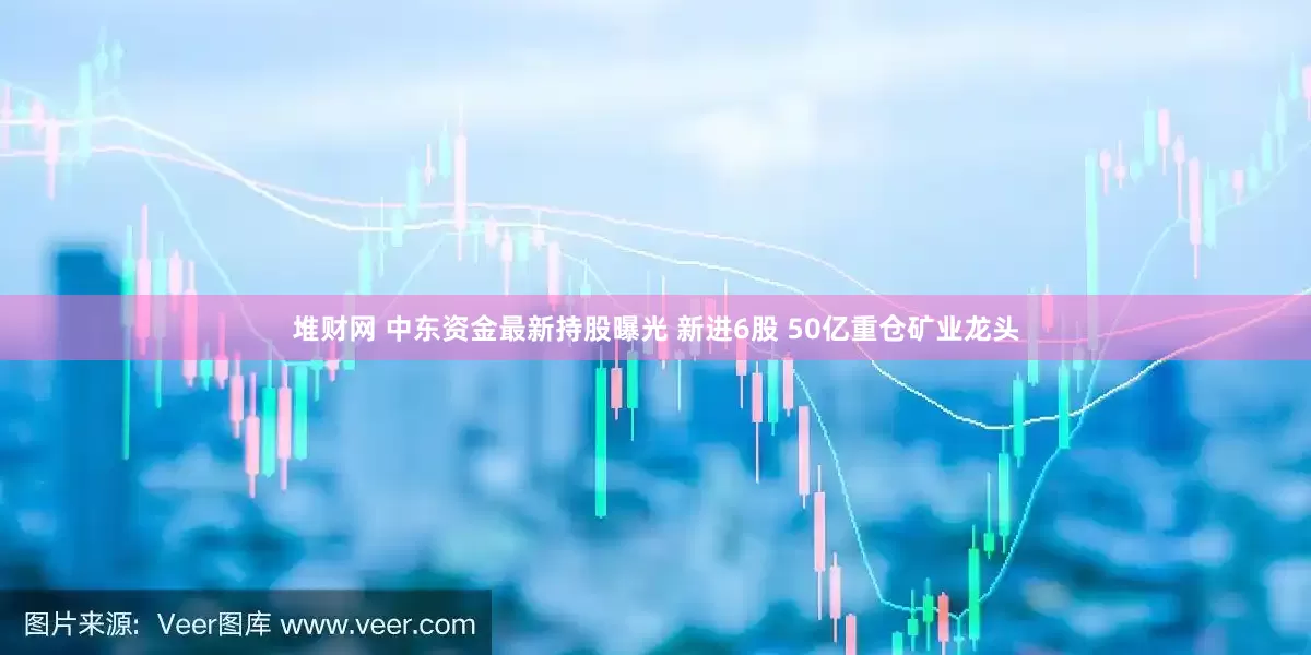 堆财网 中东资金最新持股曝光 新进6股 50亿重仓矿业龙头